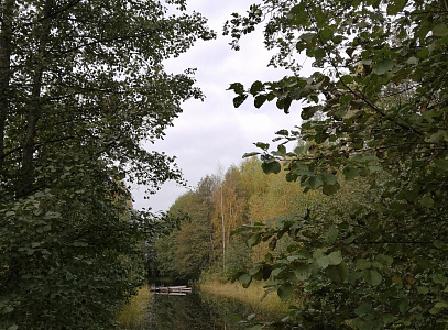 Участник